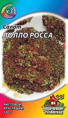 Салат Лолло Росса металл