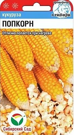Кукуруза Попкорн