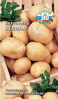 Картофель Велина