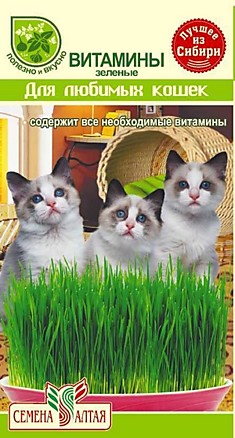 Трава для любимых кошек