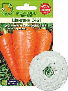 Морковь лента Шантанэ 2461