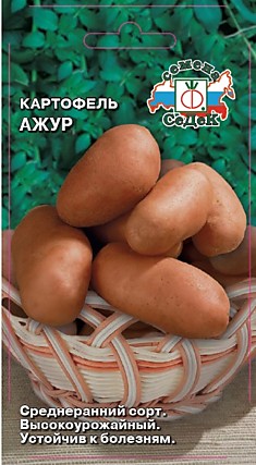 Картофель Ажур