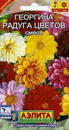 Георгина Радуга цветов махр смесь