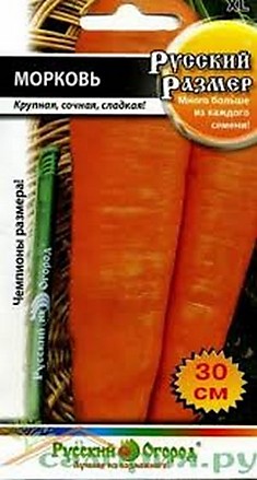 Морковь Русский размер