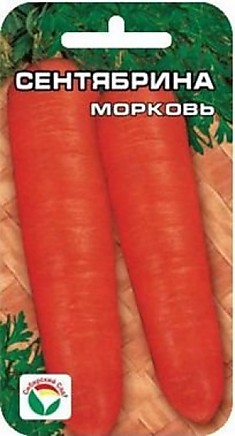 Морковь Сентябрина